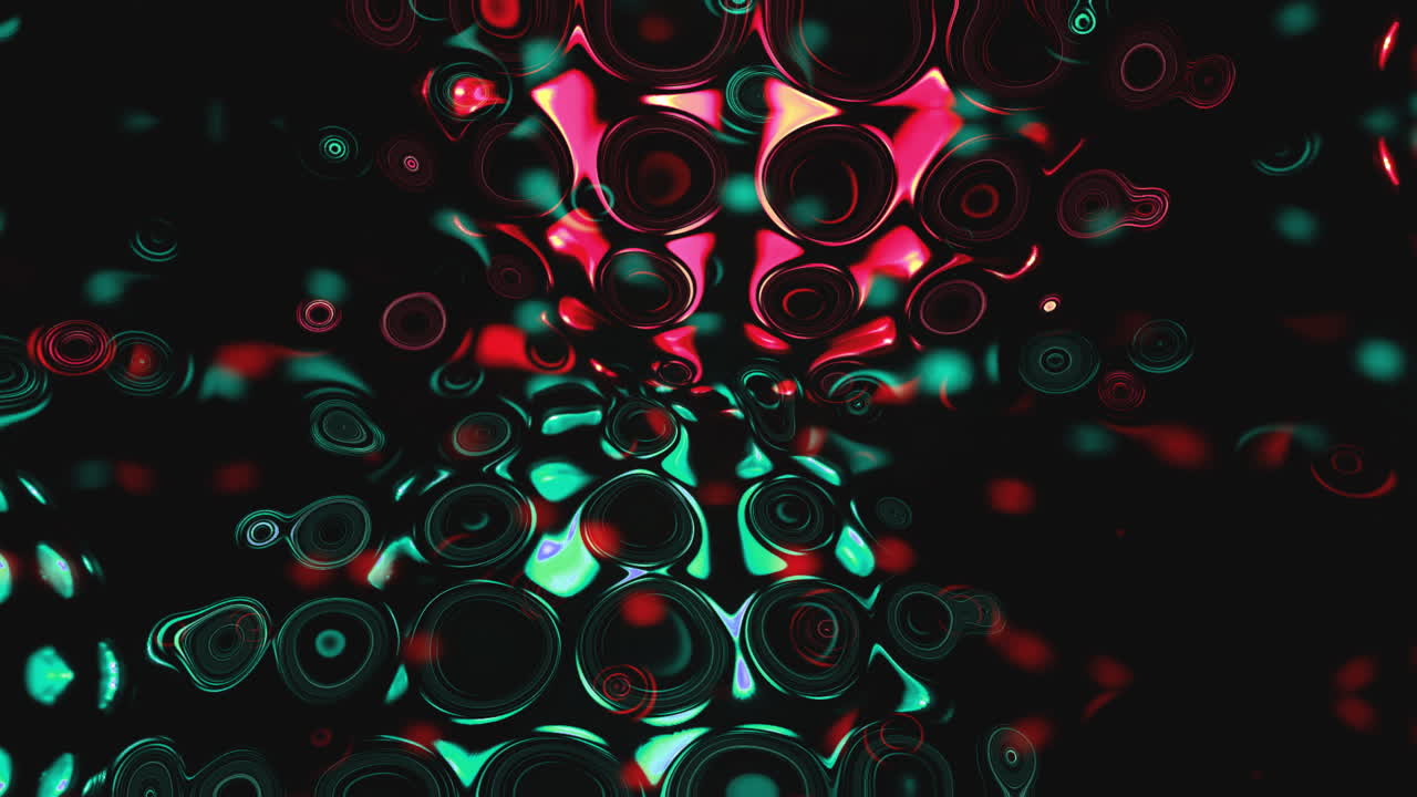 Disco Studio 56