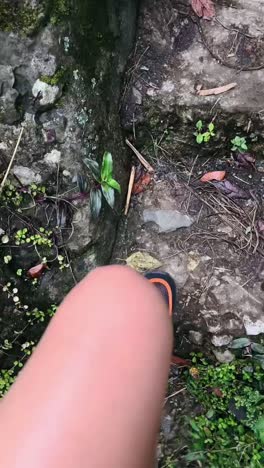 caminando por un sendero rocoso en un bosque