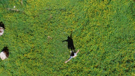 persona en un campo de flores
