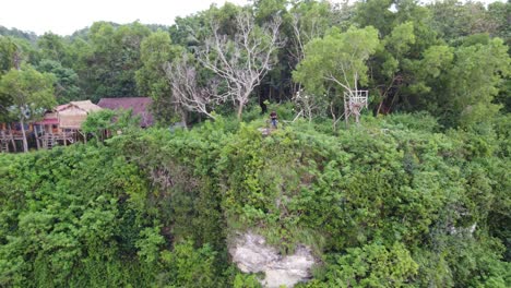 Aerial,-tourist-person-on-viewpoint-Platform-beside-Tree-house-Huts-over-steep-cape-cliff-amid-tropical-lush-jungle-overlooking-dramatic-craggy-coastline-scenery-in-Nusa-Penida-Island,-Manta-Point