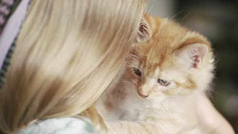 close up of a kitten being held