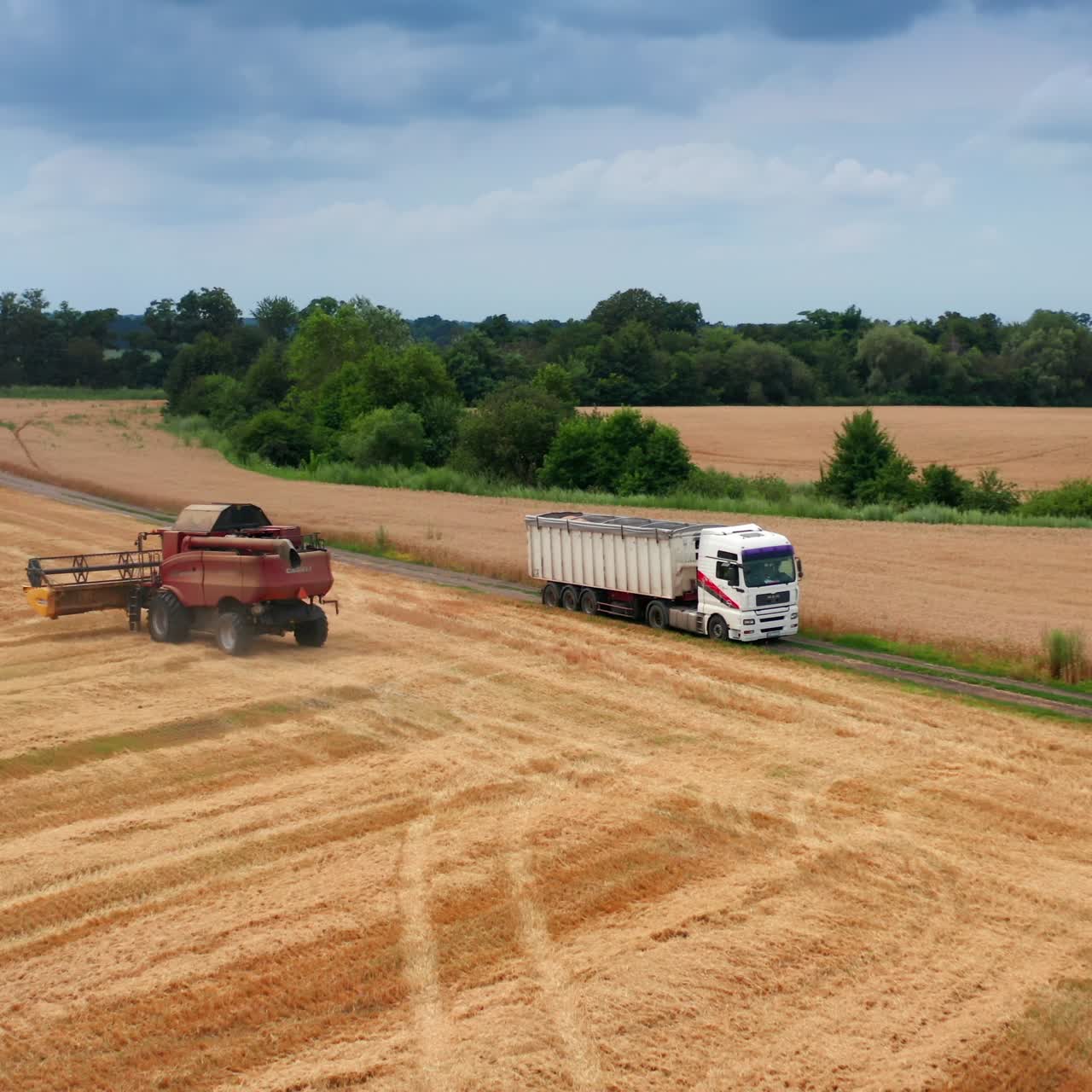 Massive harvester Case heading to the ripe field of wheat. Powerful machine is ready to get to work. Nature backdrop