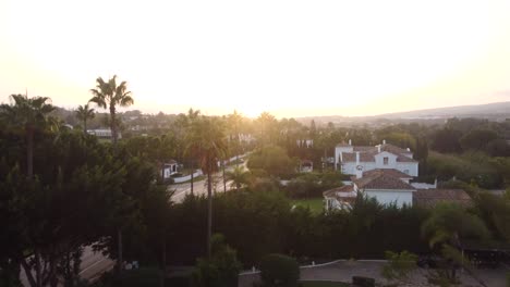 Drone-flying-through-palm-trees-on-exotic-and-tropical-island-at-sunset