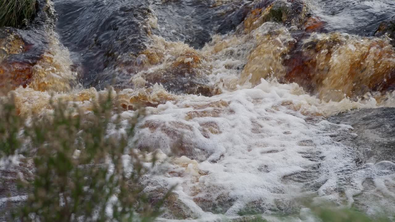 조용한 가을-겨울 숲, 바위 위에 부드러운 하천, 작은 폭포를 만 ⁇ 니다