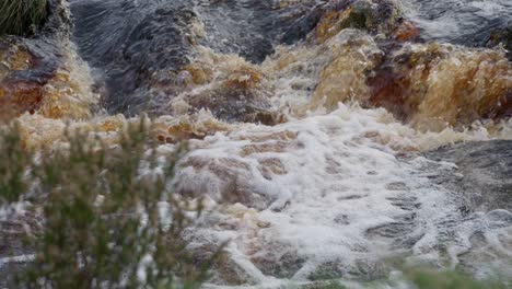 tranquilo bosque de otoño-invierno, un suave arroyo sobre las rocas, crea pequeñas cascadas
