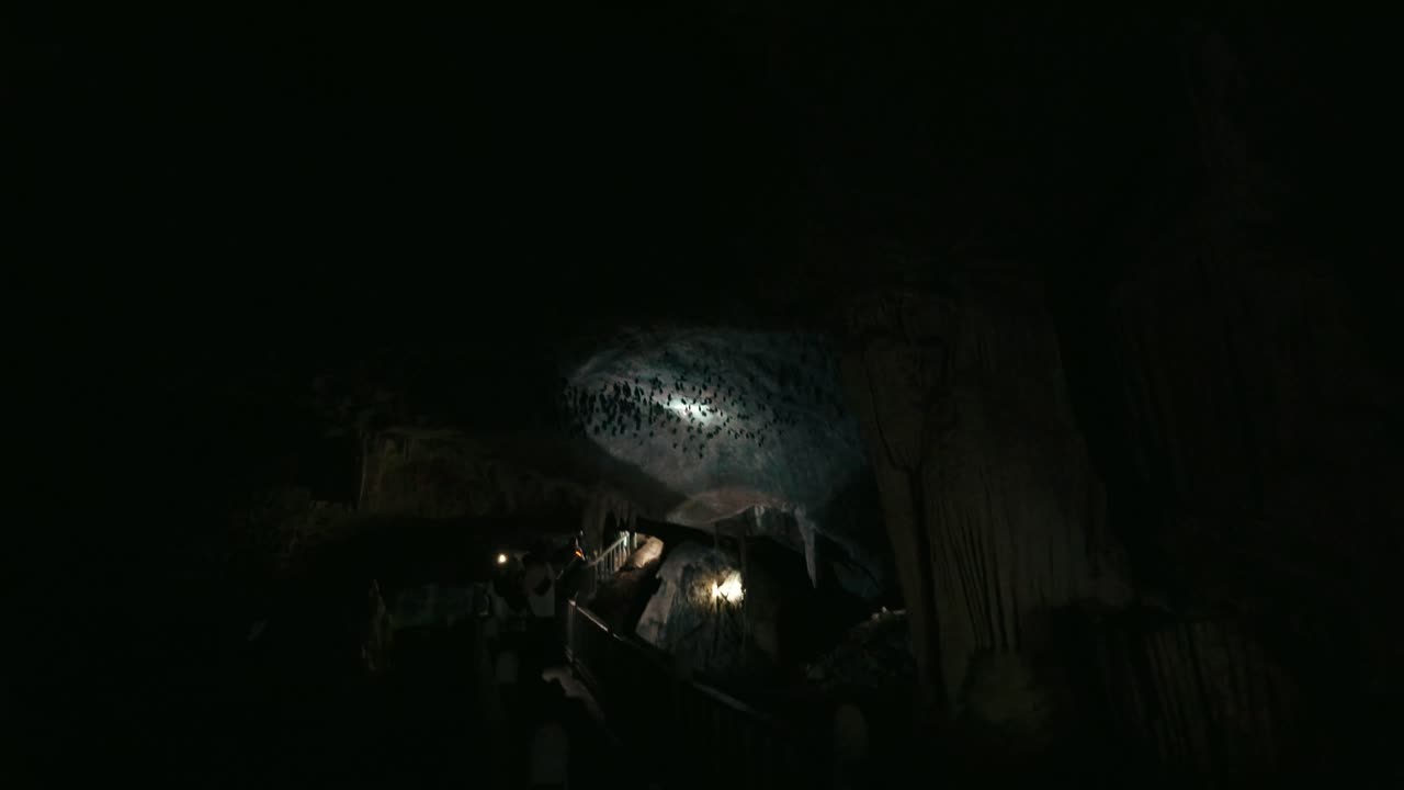 exploración aventurera dentro de una oscura y espeluznante cueva de murciélagos.