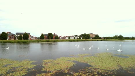 Luftaufnahme-Des-Wasserwerks-Im-Norden-Von-Belfast,-Ni