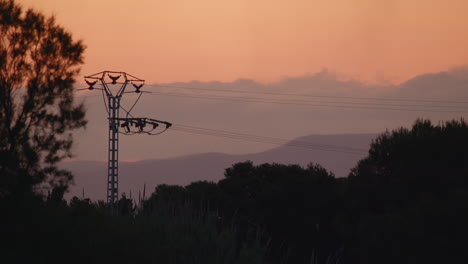 Transmission-line-tower