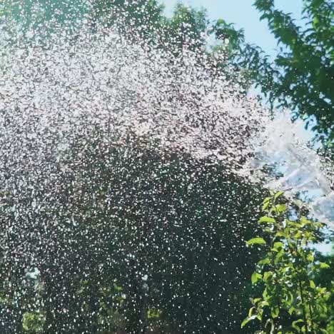 working watering garden from hose