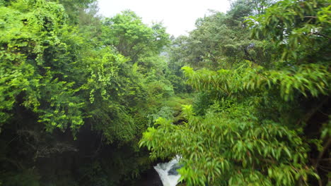 Drone-ascends-between-tropical-rainforest-above-rushing-rapid-river-in-Pokhara-Nepal