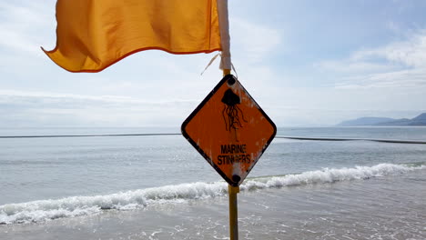 jellyfish warning sign in port douglas, australia