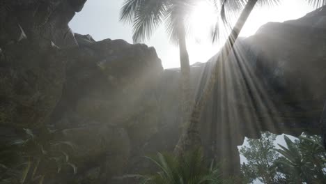 grandes palmeras en la cueva de piedra con rayos de luz solar