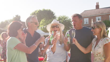 Slow-Motion-Shot-Of-Mature-Friends-Making-Toast-And-Enjoying-Drinks-At-Summer-Garden-Fete