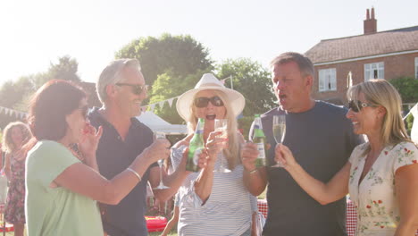 slow motion shot of mature friends making toast and enjoying drinks at summer garden fete