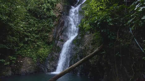 pan right of lush jungle waterfall with tropical vegetation surrounding