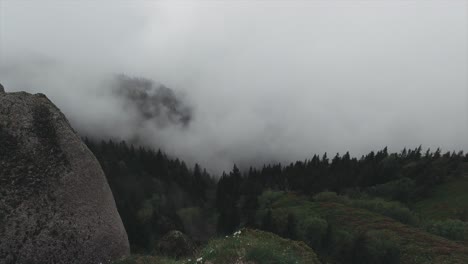 tilt-up camera movement showing a mountain valley from a cliff high up with pine forest and clouds in the background