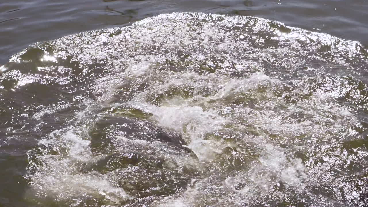 우루과이, 푼타 델 에스테, 푼타 델 에스테