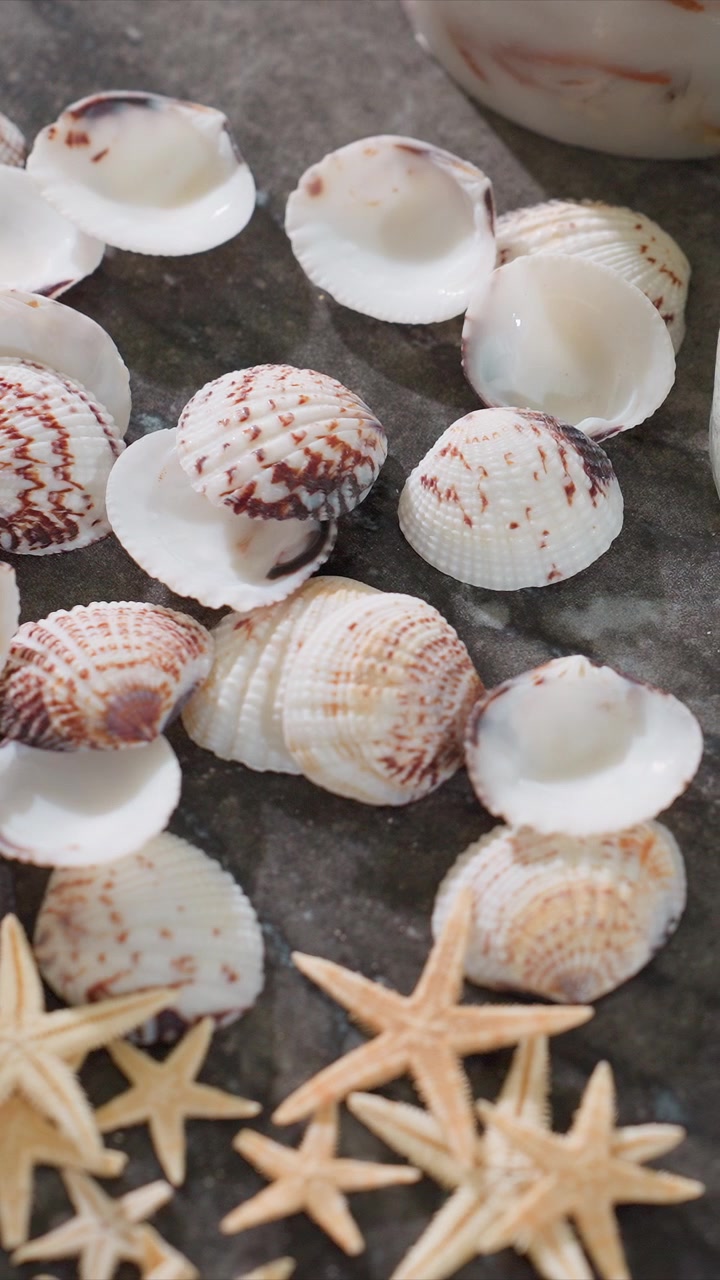 Close up of hand arranging various seashells and starfish on dark surface. shells display distinct white textures with brown patterns while scene includes smooth lighting and soft shadows
