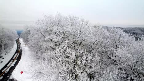 Escarcha,-Hielo-Y-Escarcha-En-Los-árboles-A-Lo-Largo-De-La-Carretera-Cerca-De-Boone-Y-Blowing-Rock-Nc,-Carolina-Del-Norte