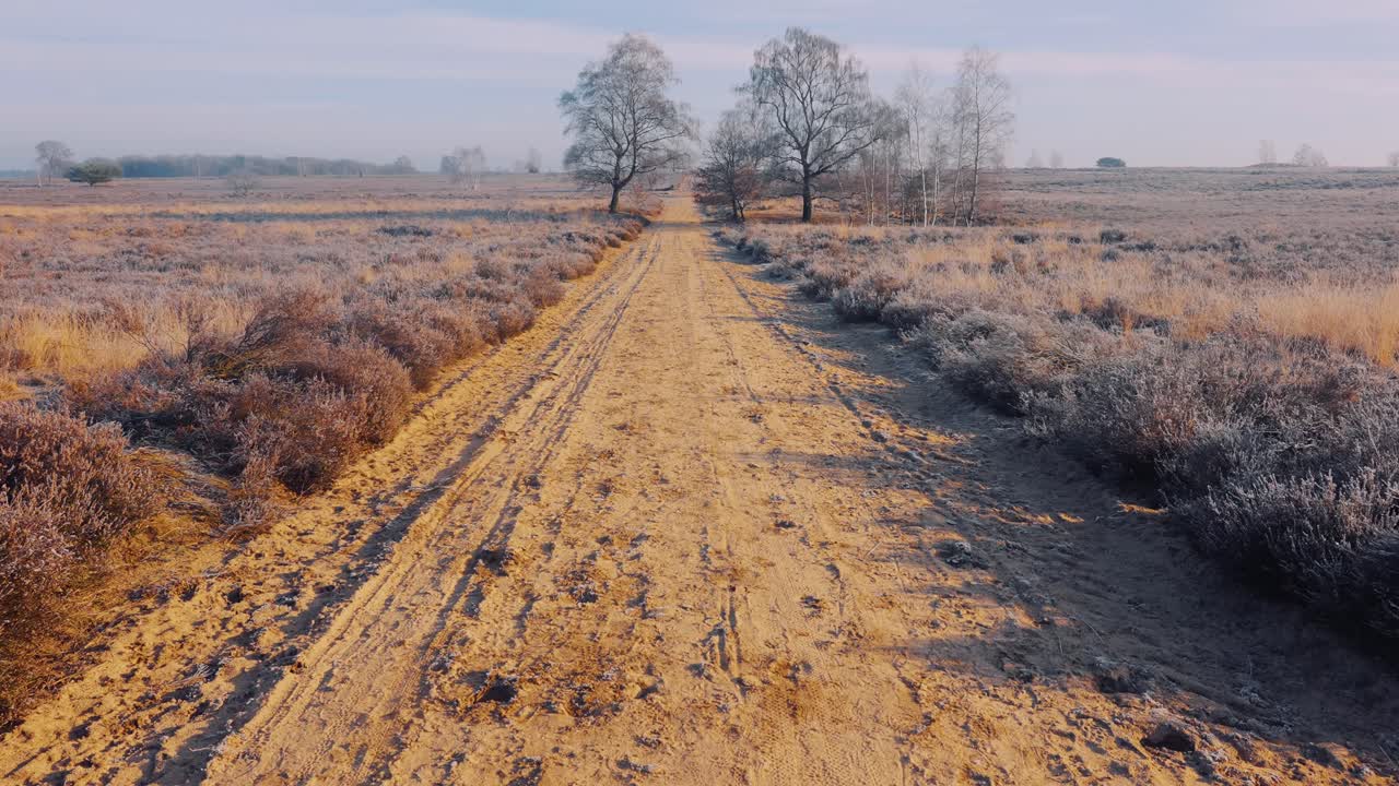 Una strada sterrata solitaria e l'orizzonte, Parco Nazionale Veluwe, Paesi Bassi, inquadratura ampia