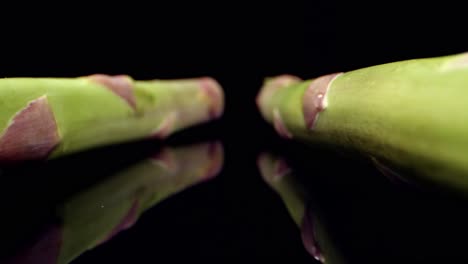 fresh asparagus green high quality healthy vegetable super macro close up hq shoot
