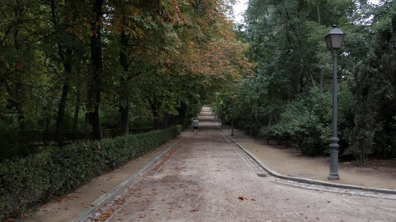 Elder man walks in park. Lifestyle habits improving lifespan.