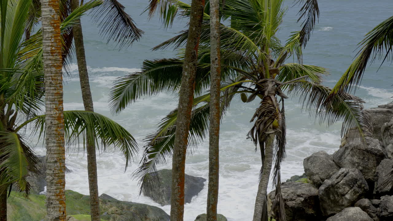 Tropical Ocean View with Palm Trees and Waves