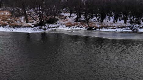 drone over frozen winter forest river with flying ducks