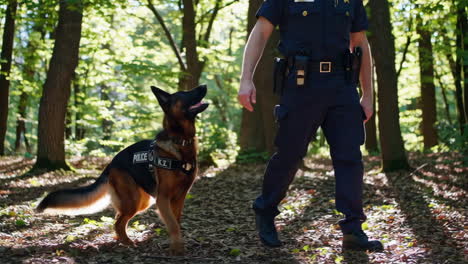 police officer and k9 unit in forest