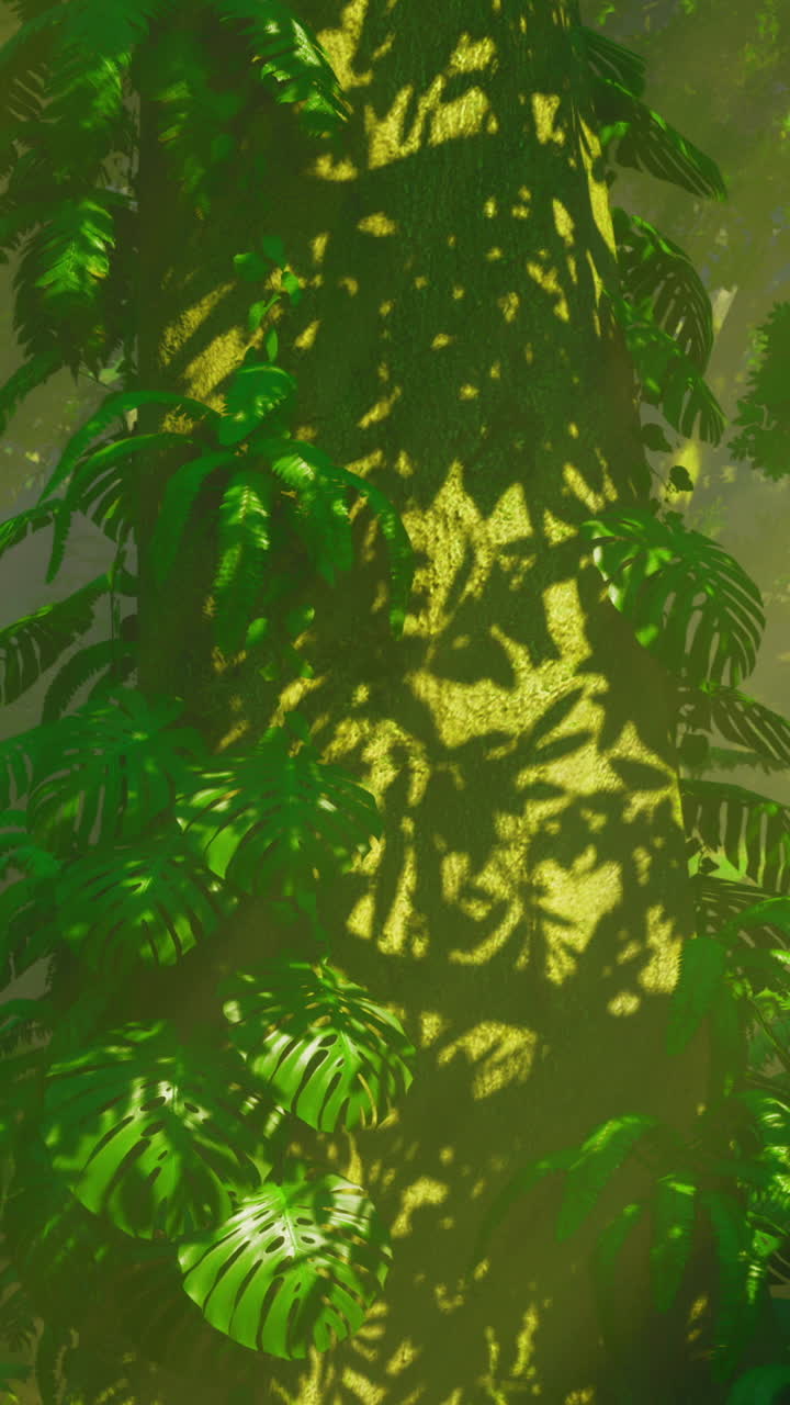 Sunlight filters through dense foliage illuminating vibrant green plants