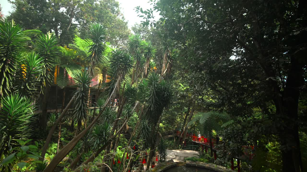 las imágenes fueron filmadas en madeira, portugal, en el jardín tropical de monte palace.