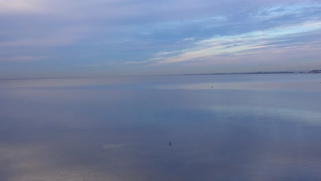 A-vast-open-bay-of-ocean-or-tidal-bay-near-Tampa-Florida