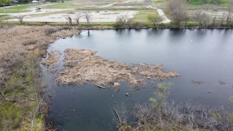 Drone-descending-near-a-small-swampy-outlet-of-water