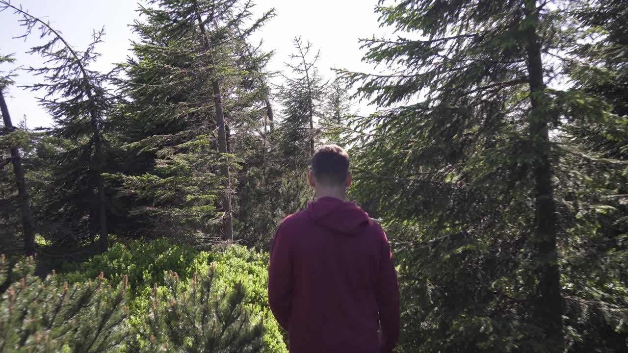 Young tourist male is walking trail between trees, following closeup shot from back