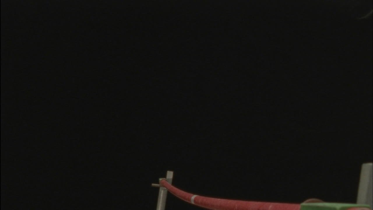 남자 선수는 장대 높이뛰기에서 경쟁