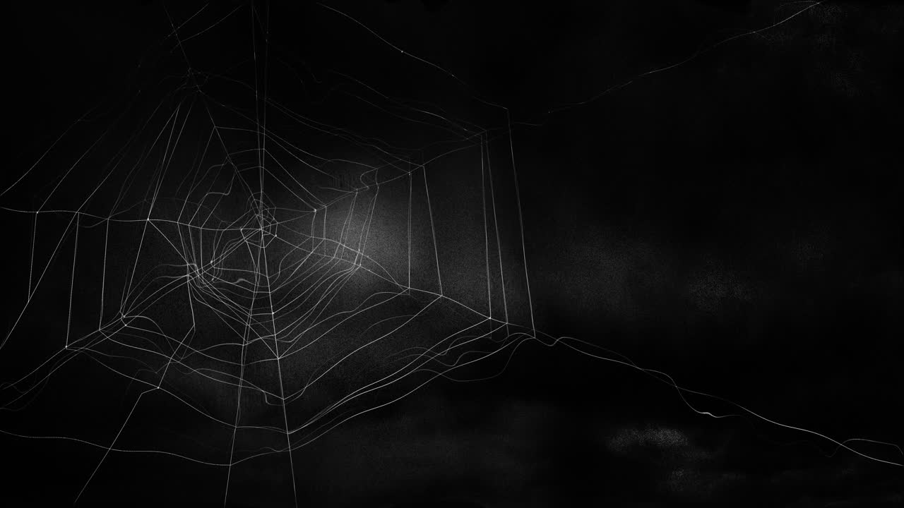 Animation of spiders web over stormy, dark halloween sky