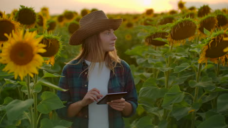 Una-Joven-Camina-Por-El-Campo-Con-Girasoles-Y-Los-Examina.-Ella-Escribe-Sus-Características-En-Un-Libro-Electrónico.