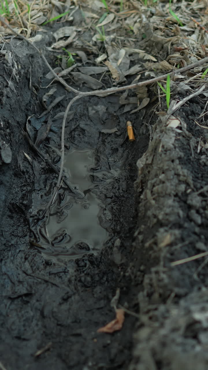 близкий вид на мелководную траншею, заполненную дождевой водой, на грязной, покрытой листьями земле, с влажной почвой, разлагающимися листьями и небольшими участками зеленой травы