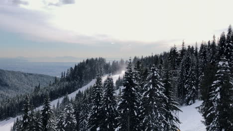 Trees-covered-by-snow-view-from-lift-on-Cypress-mountain,-variation