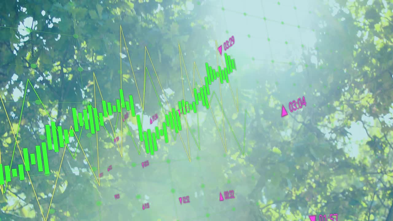 나무 위에서 금융 데이터 처리의 애니메이션