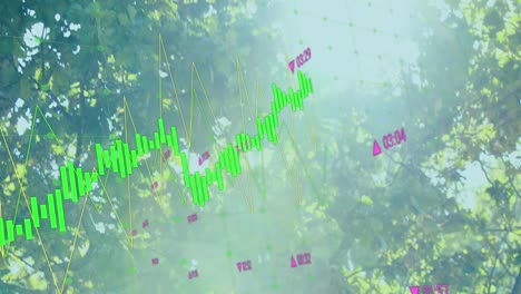 animation of financial data processing over trees