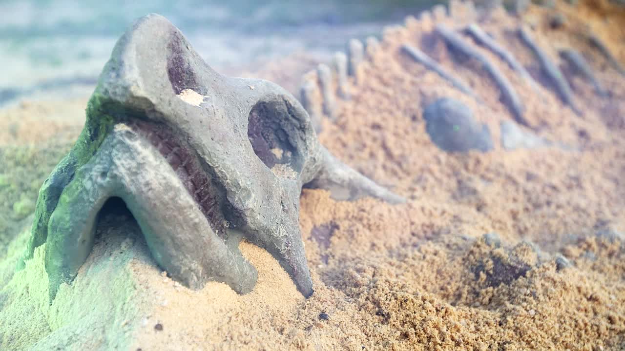 안개 낀 밤에 뼈가 모래 땅에 튀어나와 있다