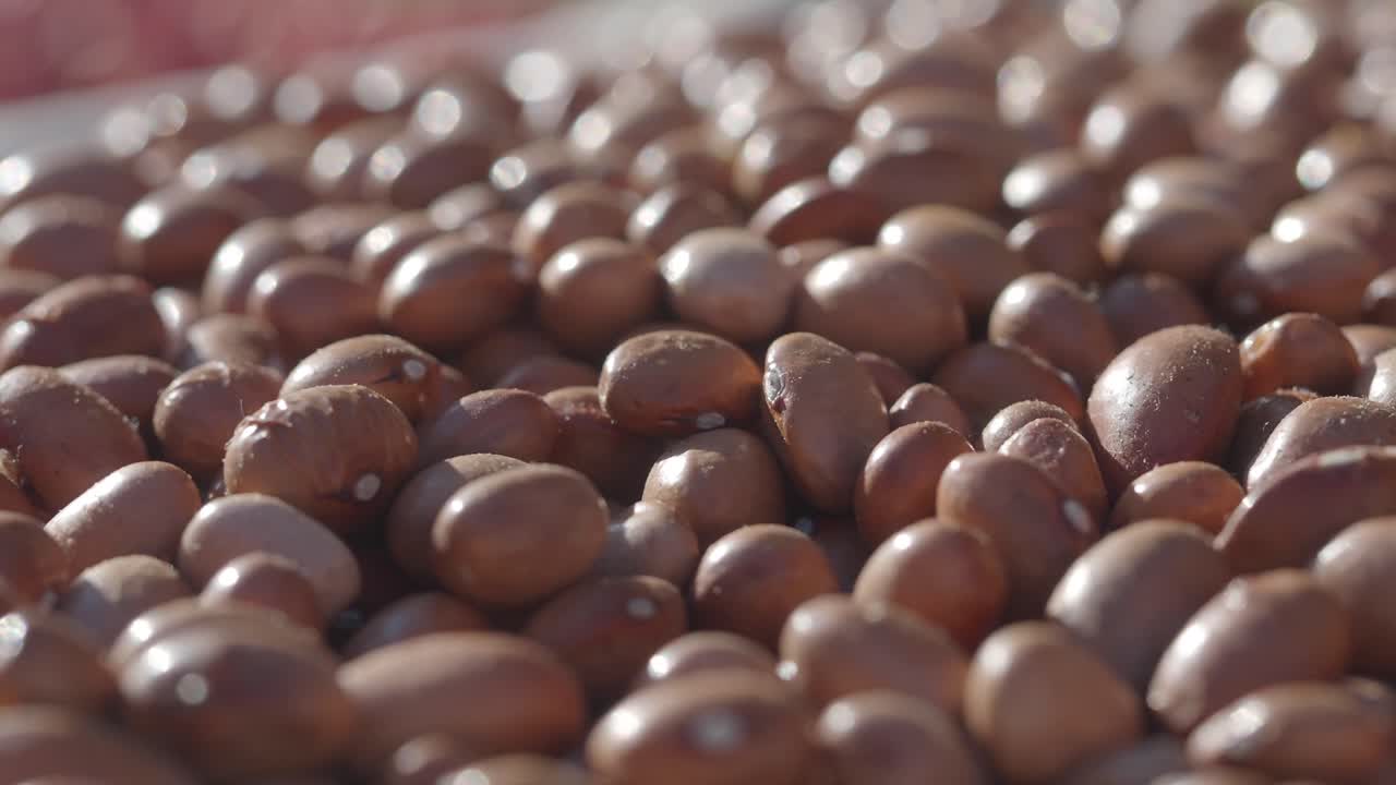 Primo piano di fagioli marroni secchi