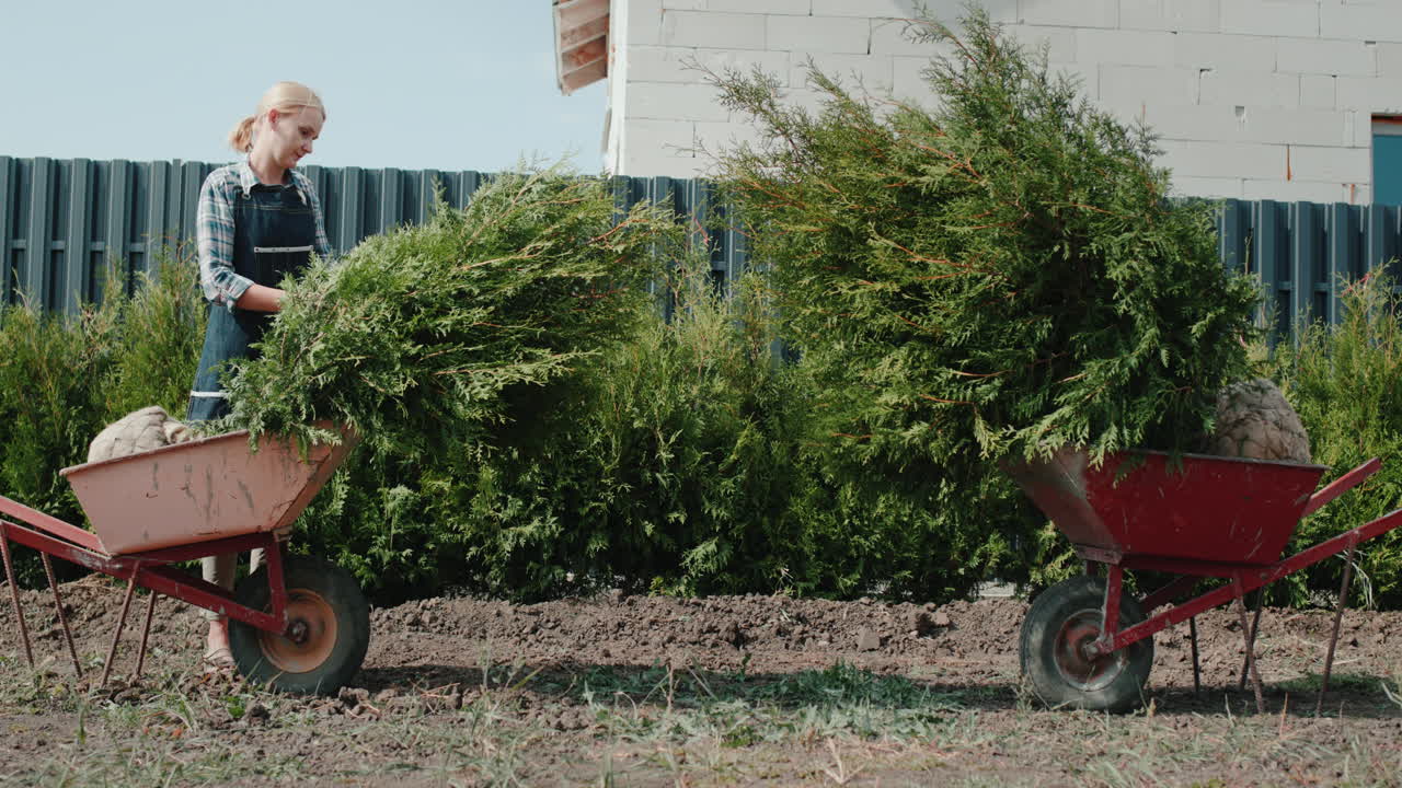 una jardinera inspecciona plántulas