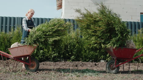 a female gardener inspects seedlings