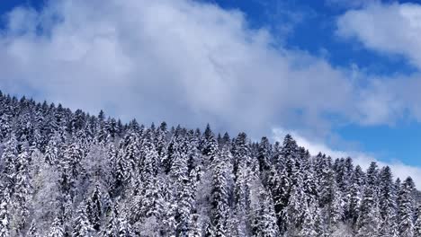 drone orbiting view above snow covered mountain trees during springtime with blue sky and big clouds