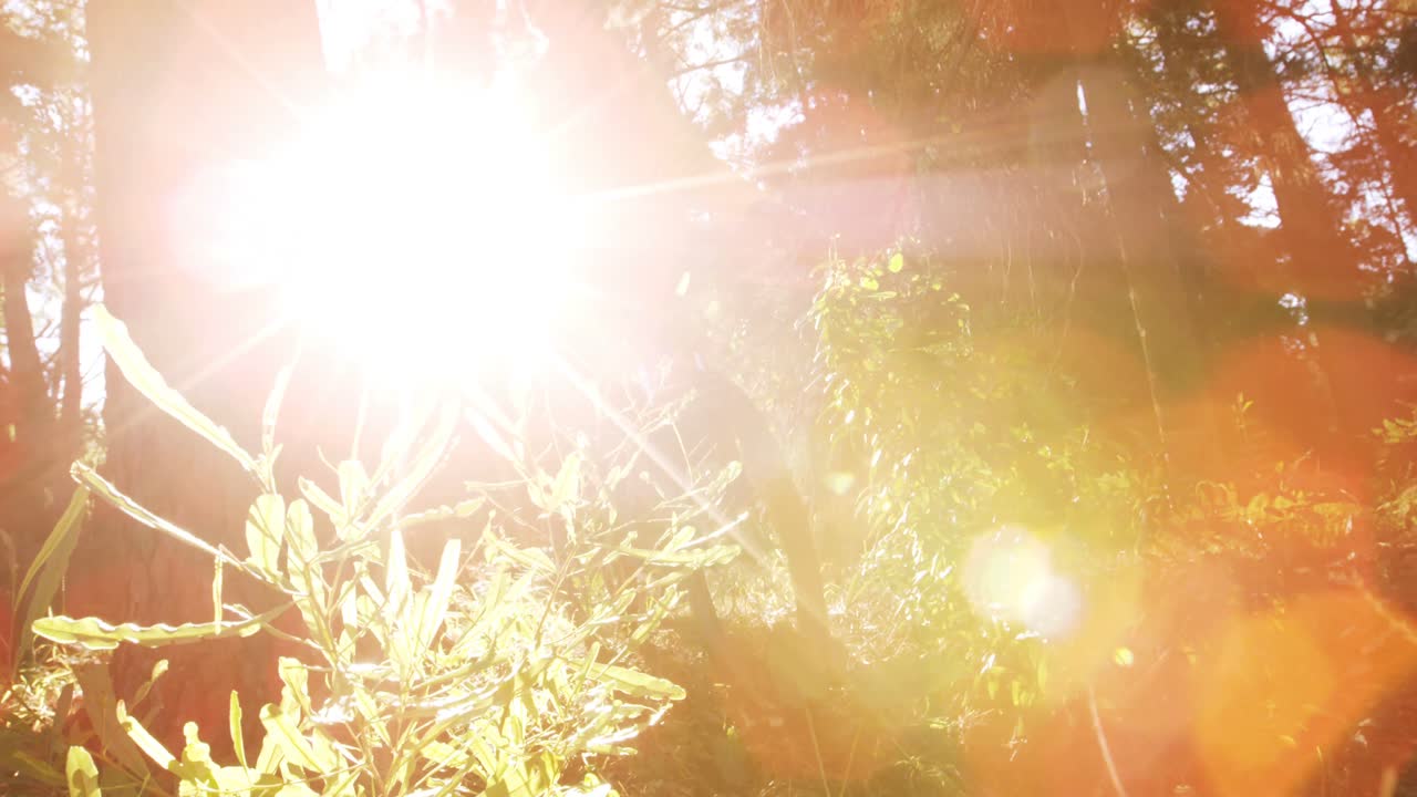 산악 자전거 타는 여성이 숲에서