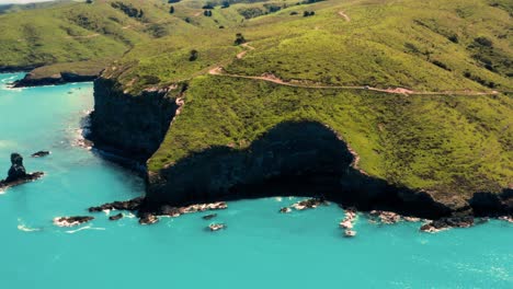 trees, bali, blue sea, nusa penida, drone photography, traveller, crashing waves, aerial shot, aerial photography, island life, asia, drone beach, active, tidal, hike, portrait