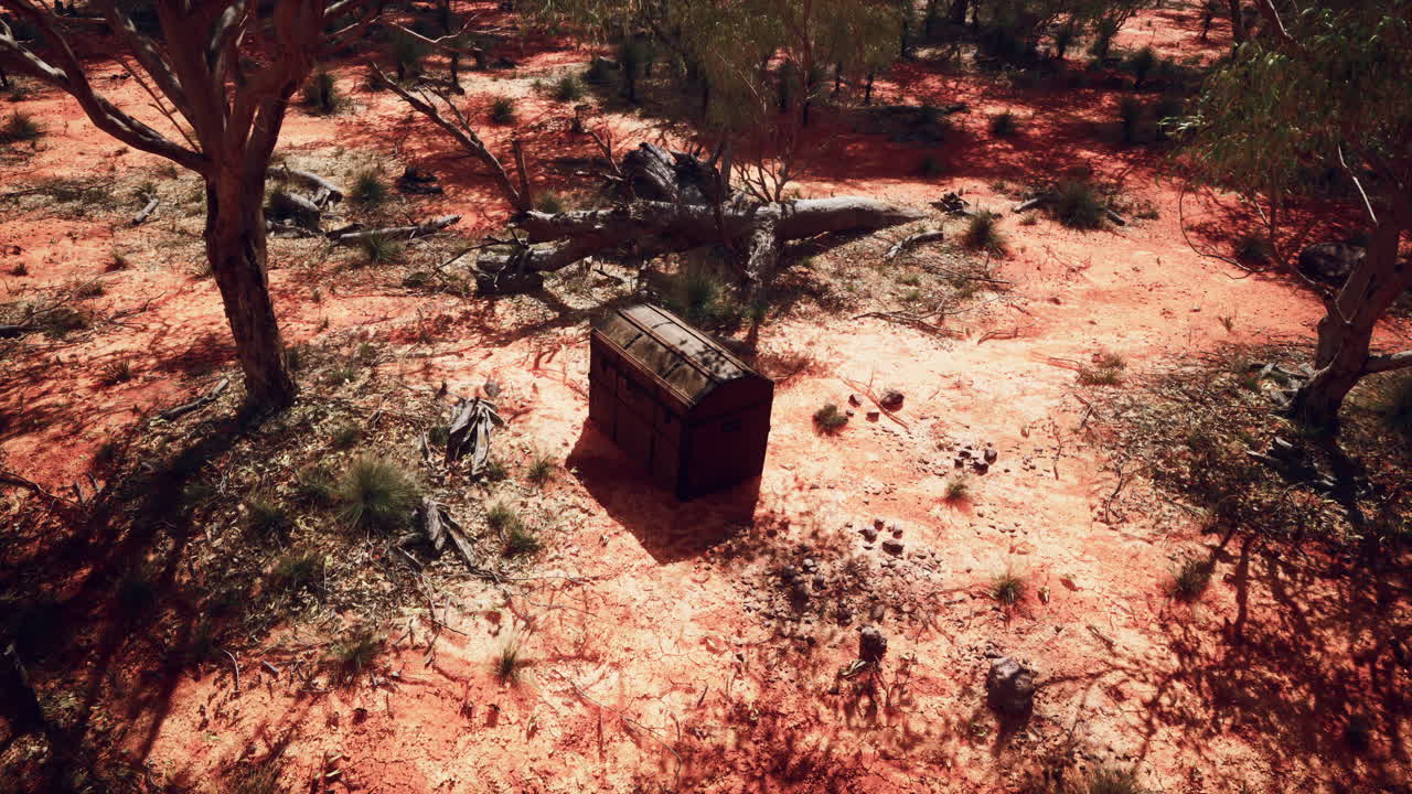 사막 숲 에 있는 고대 상자