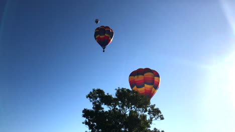 three hot air balloons climbing from behind tree